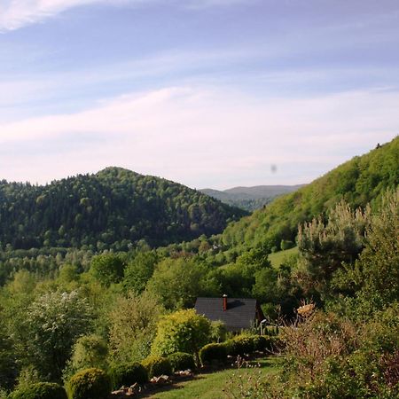 Lesny Dworek 1 Wolkowyja Exteriér fotografie