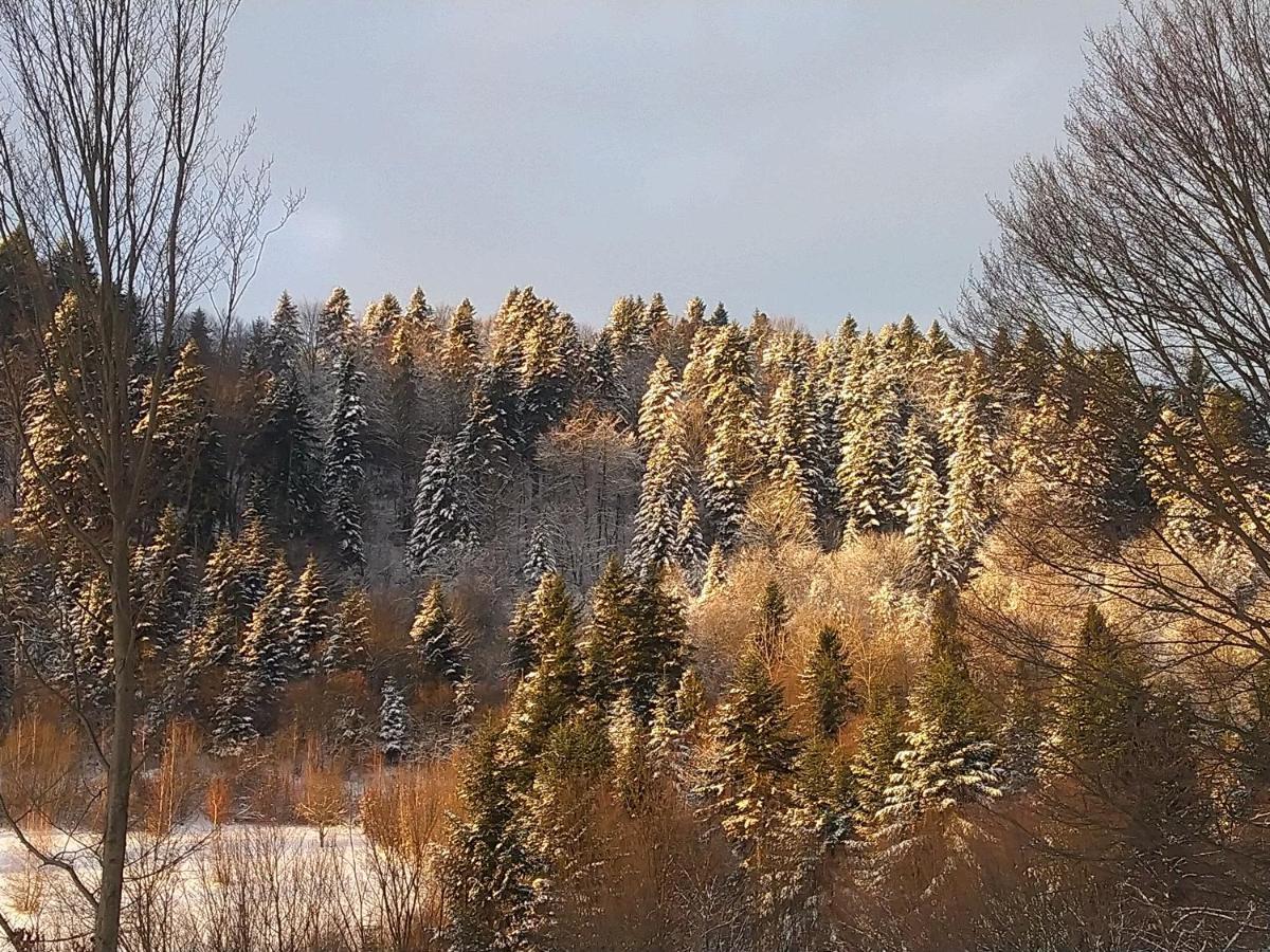 Lesny Dworek 1 Wolkowyja Exteriér fotografie