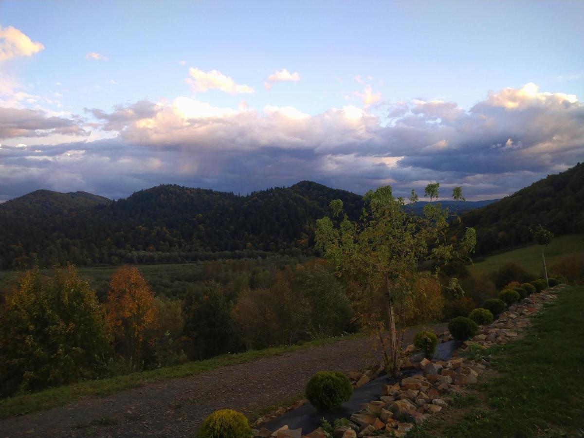 Lesny Dworek 1 Wolkowyja Exteriér fotografie