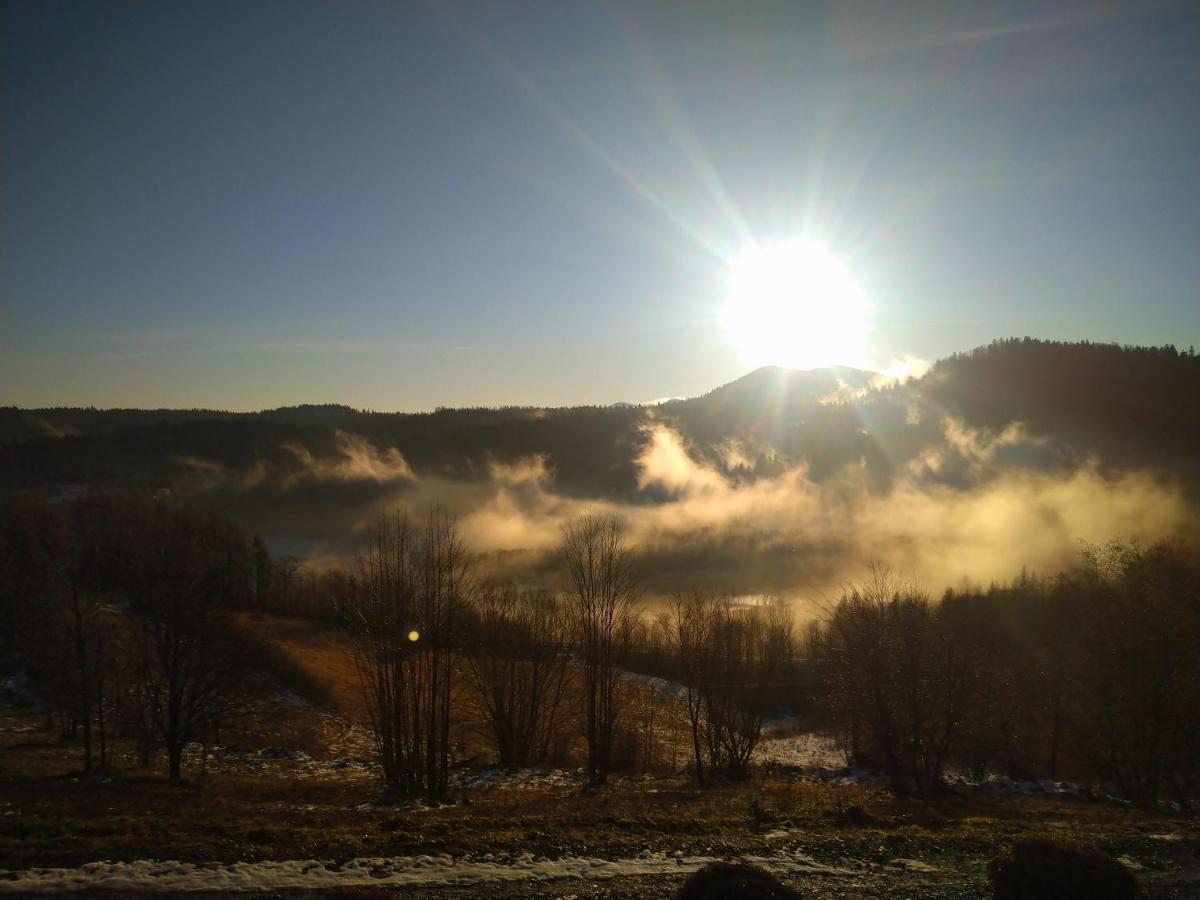 Lesny Dworek 1 Wolkowyja Exteriér fotografie