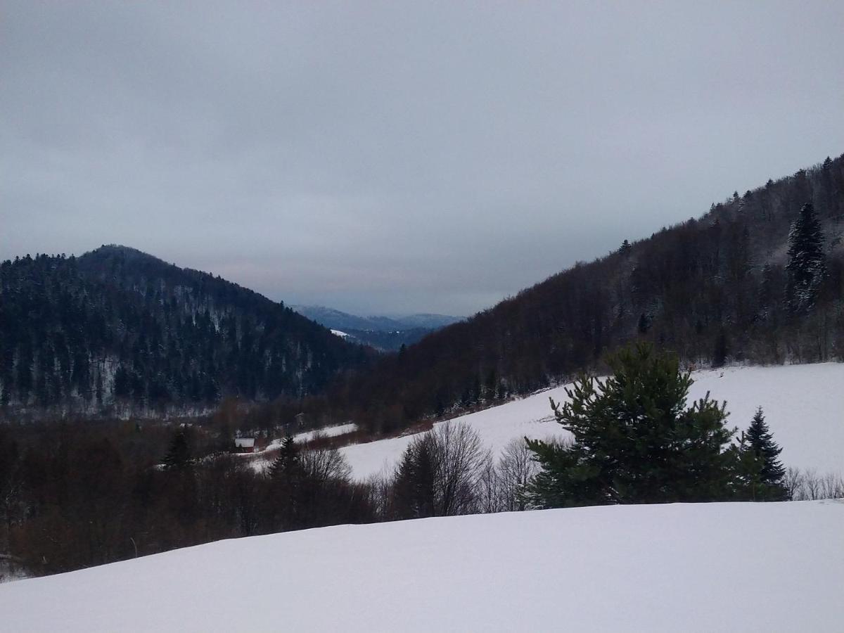 Lesny Dworek 1 Wolkowyja Exteriér fotografie