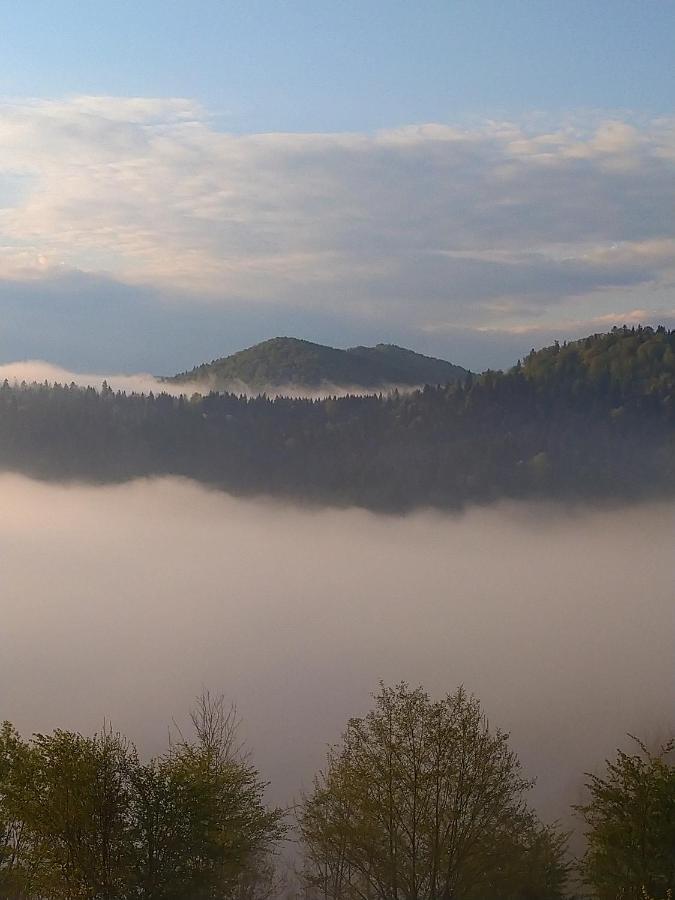 Lesny Dworek 1 Wolkowyja Exteriér fotografie