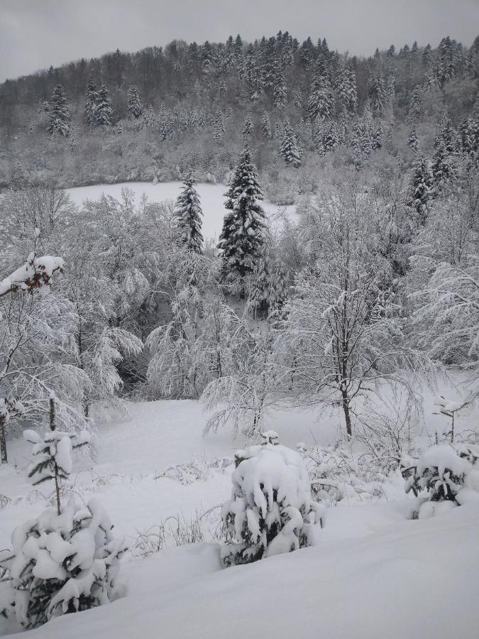Lesny Dworek 1 Wolkowyja Exteriér fotografie