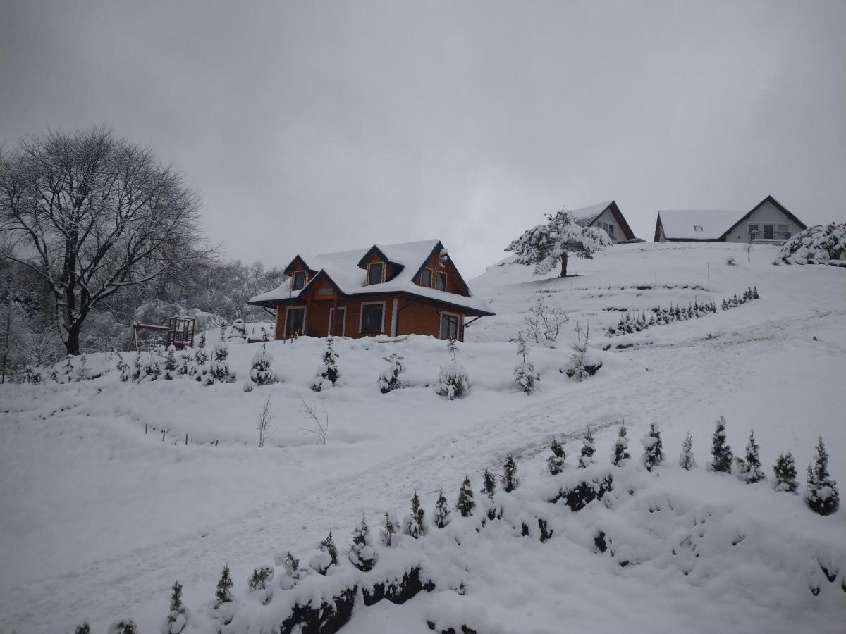 Lesny Dworek 1 Wolkowyja Exteriér fotografie