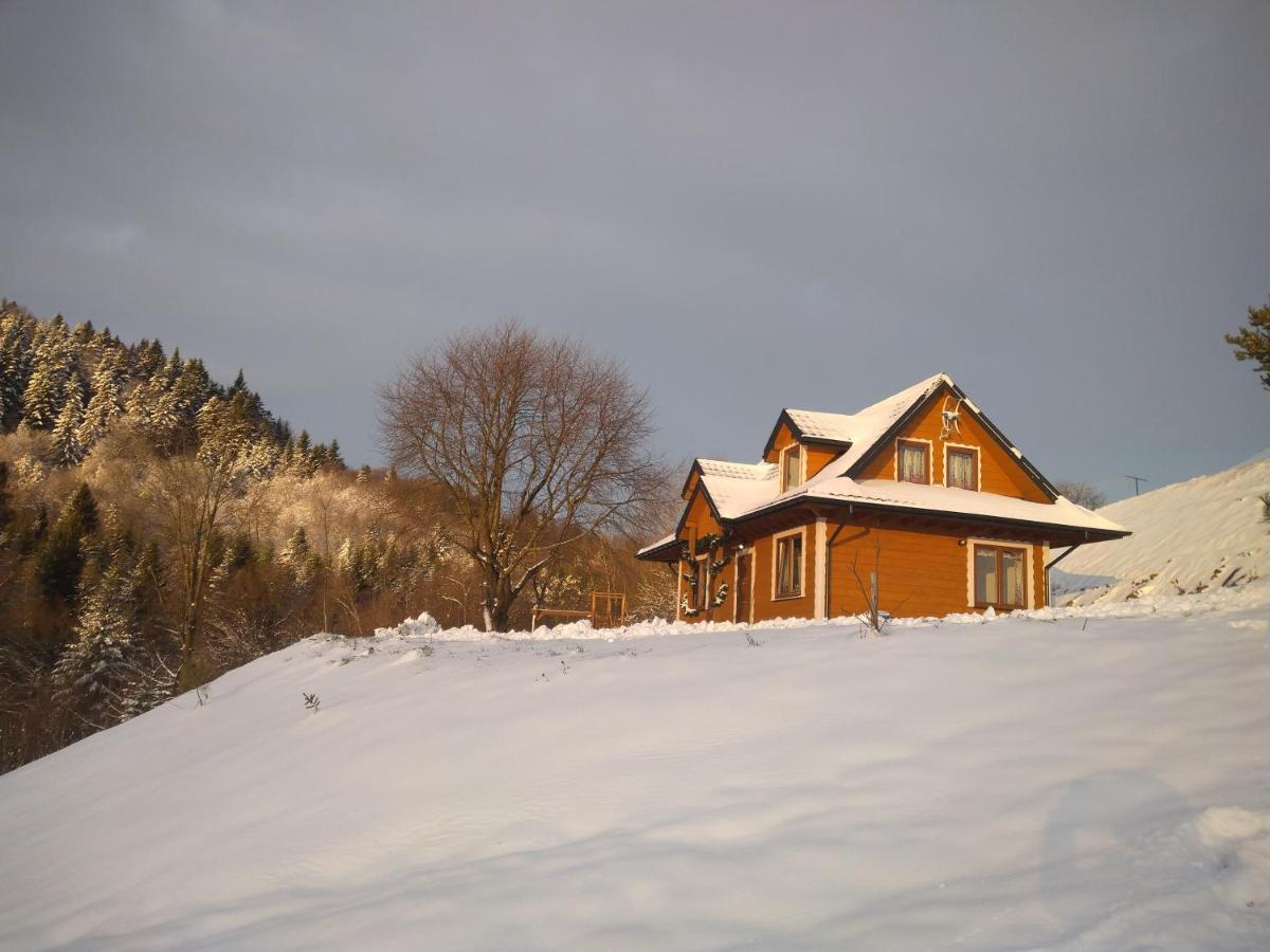 Lesny Dworek 1 Wolkowyja Exteriér fotografie