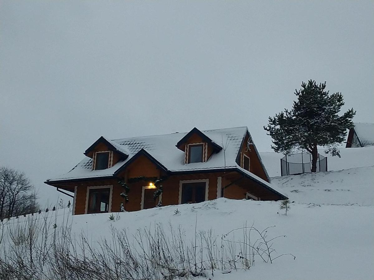 Lesny Dworek 1 Wolkowyja Exteriér fotografie