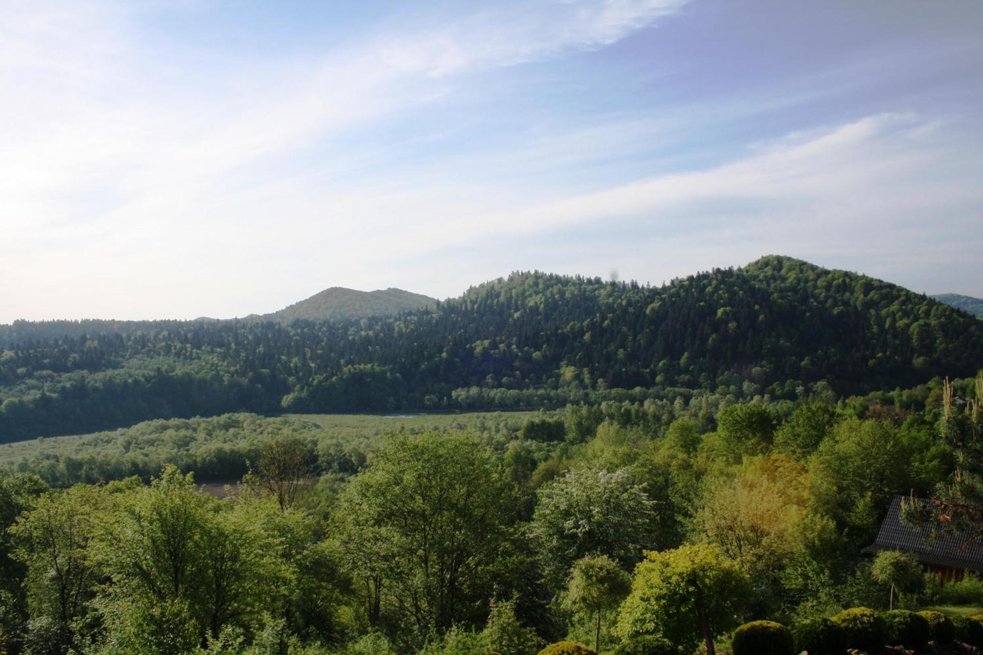Lesny Dworek 1 Wolkowyja Exteriér fotografie