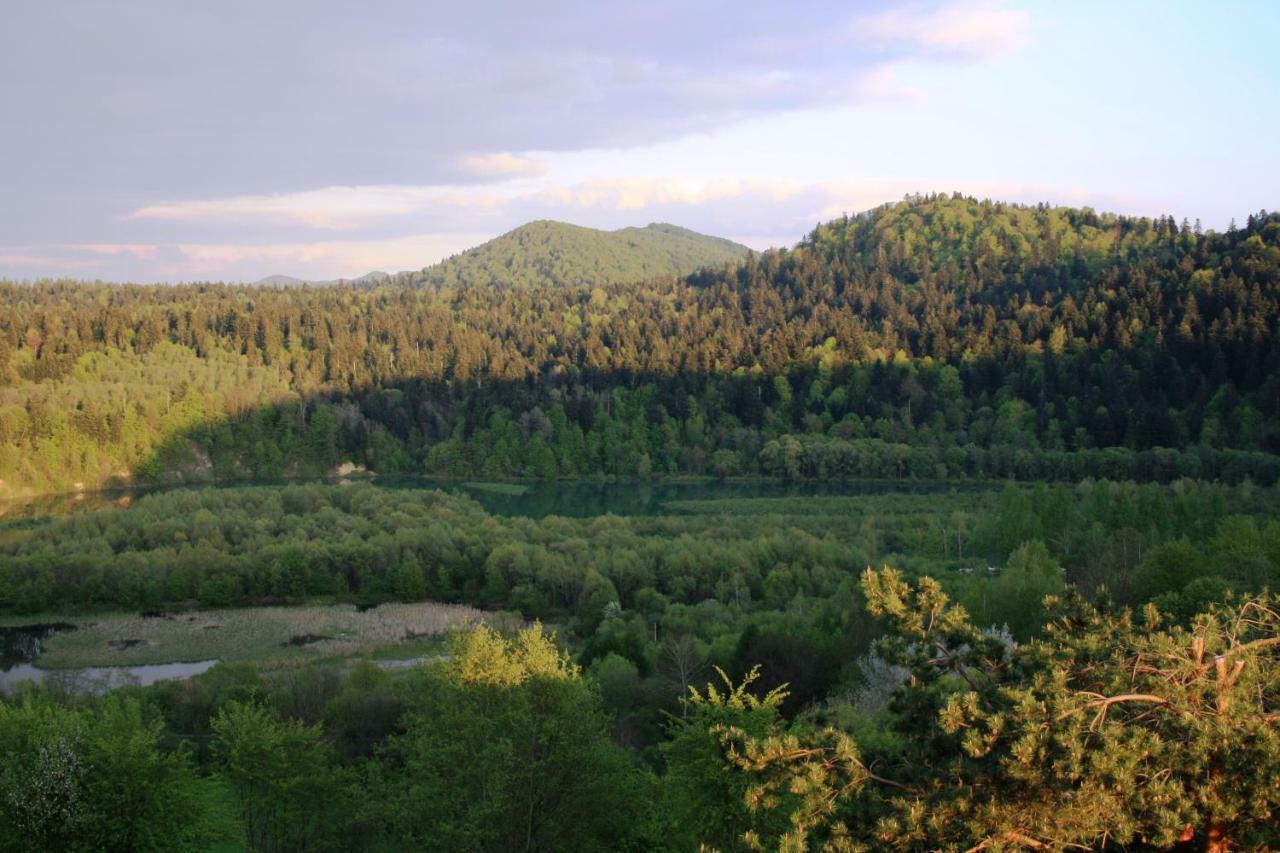 Lesny Dworek 1 Wolkowyja Exteriér fotografie
