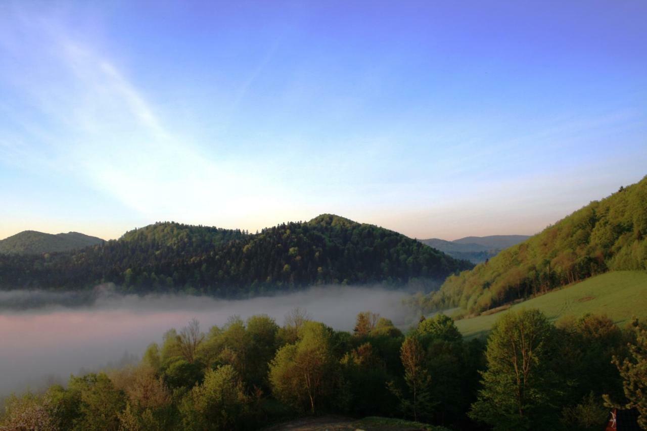Lesny Dworek 1 Wolkowyja Exteriér fotografie